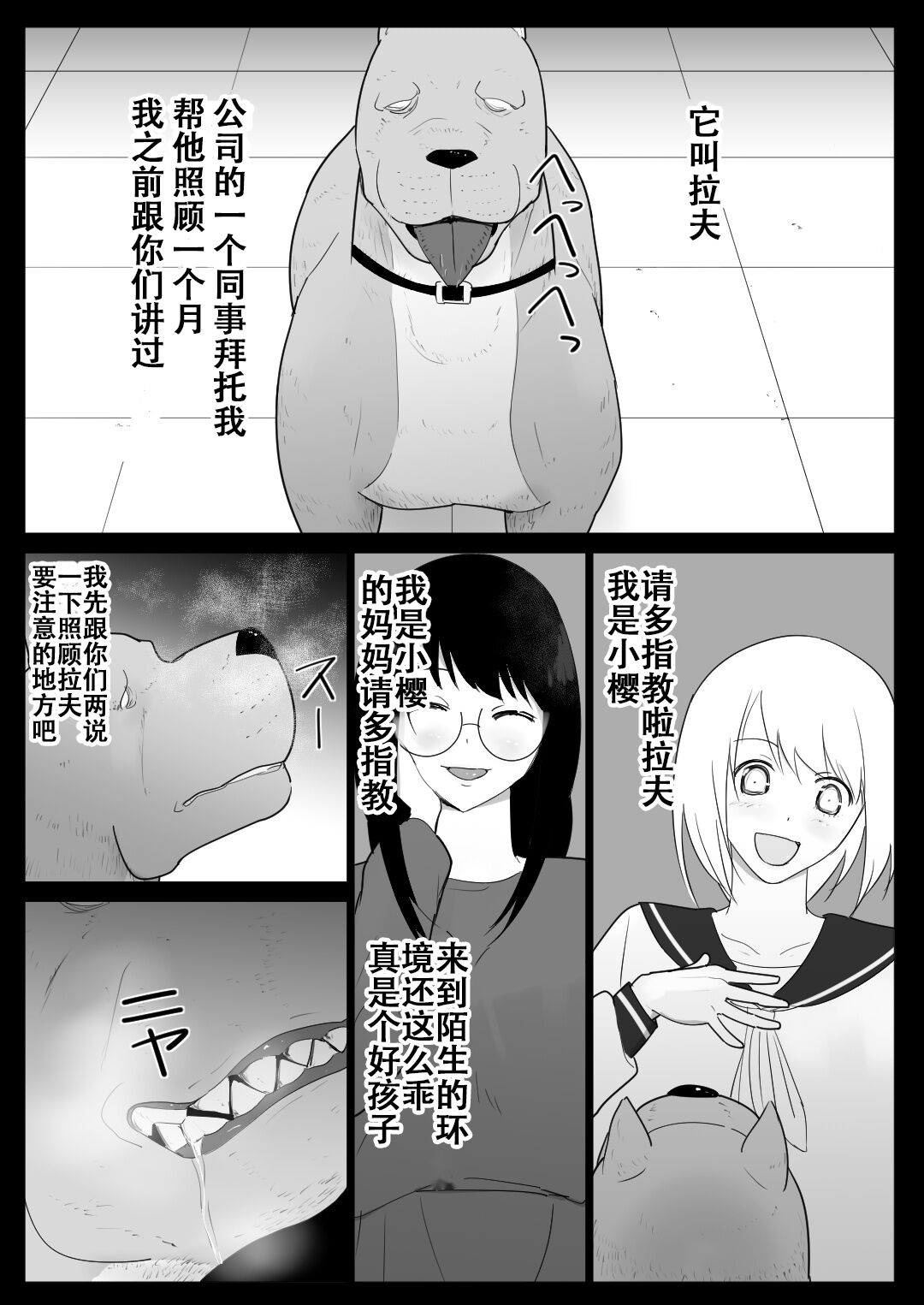第 4 页