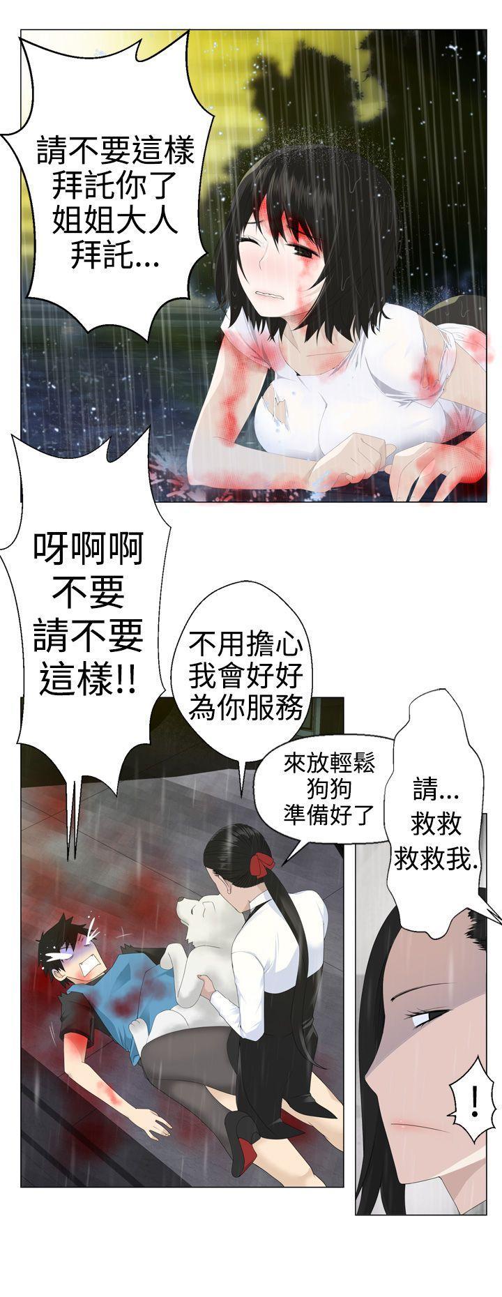 第 17 页