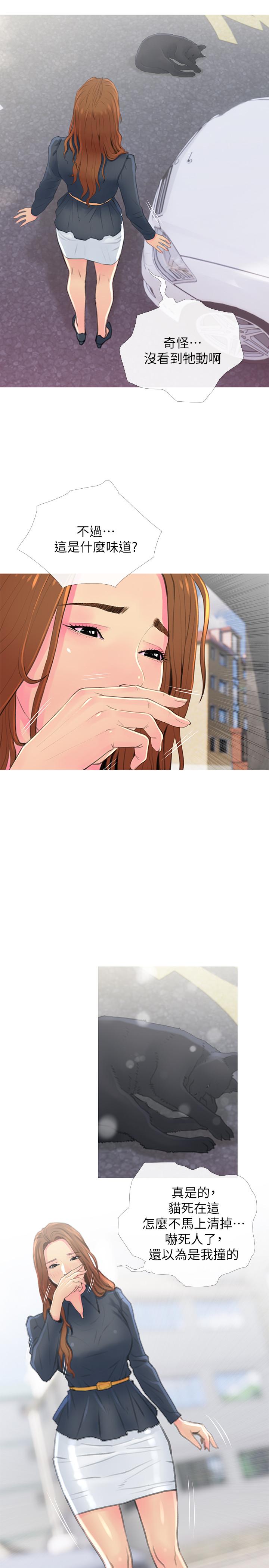 第 28 页