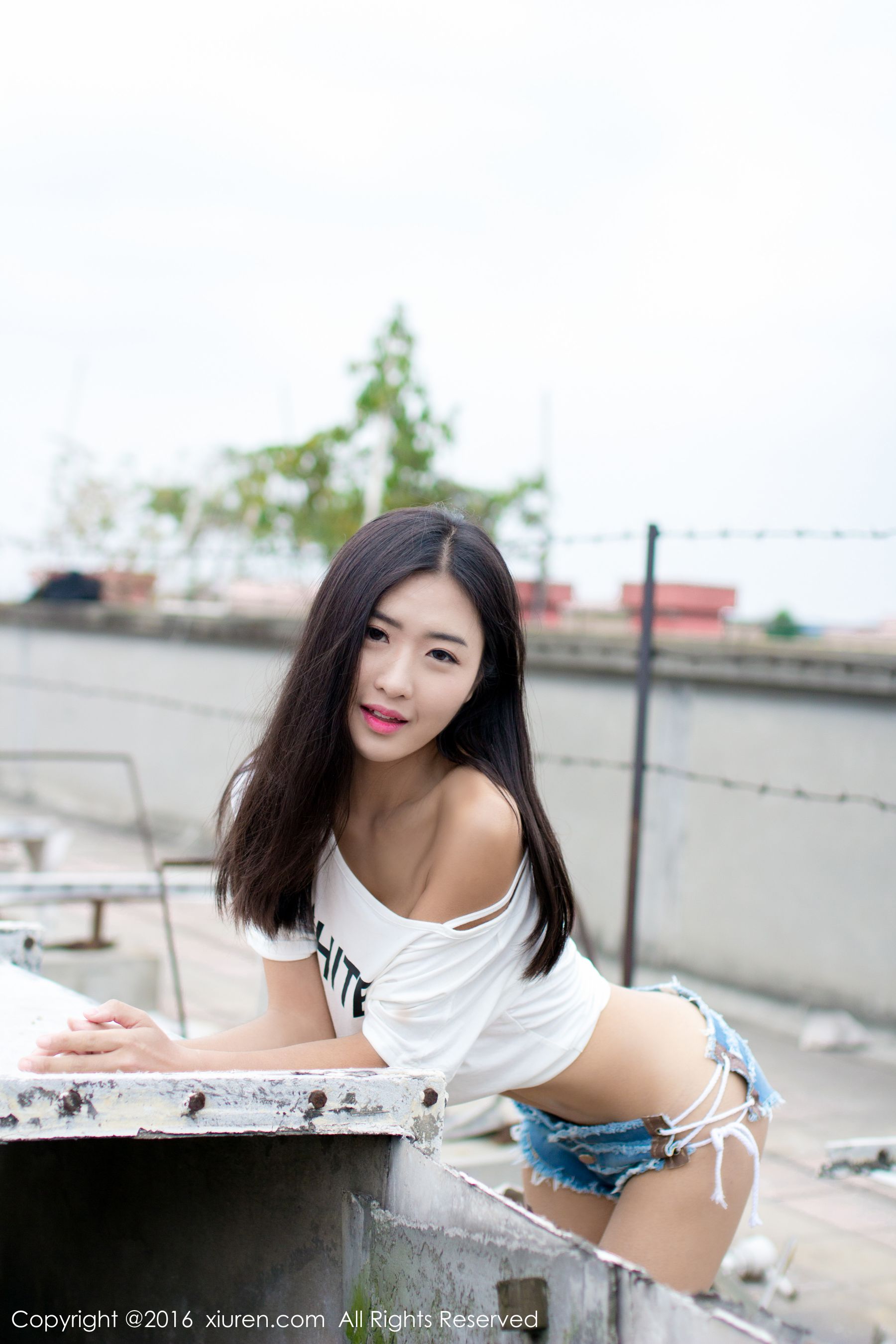 第 3 张