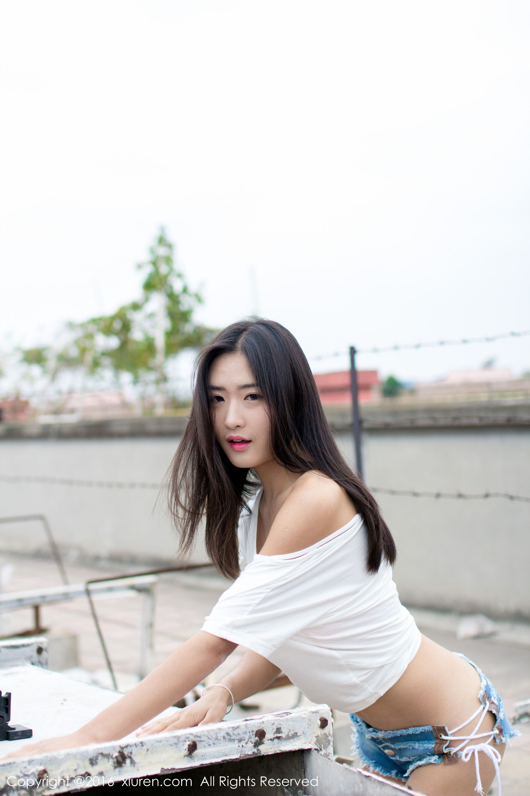 第 5 张