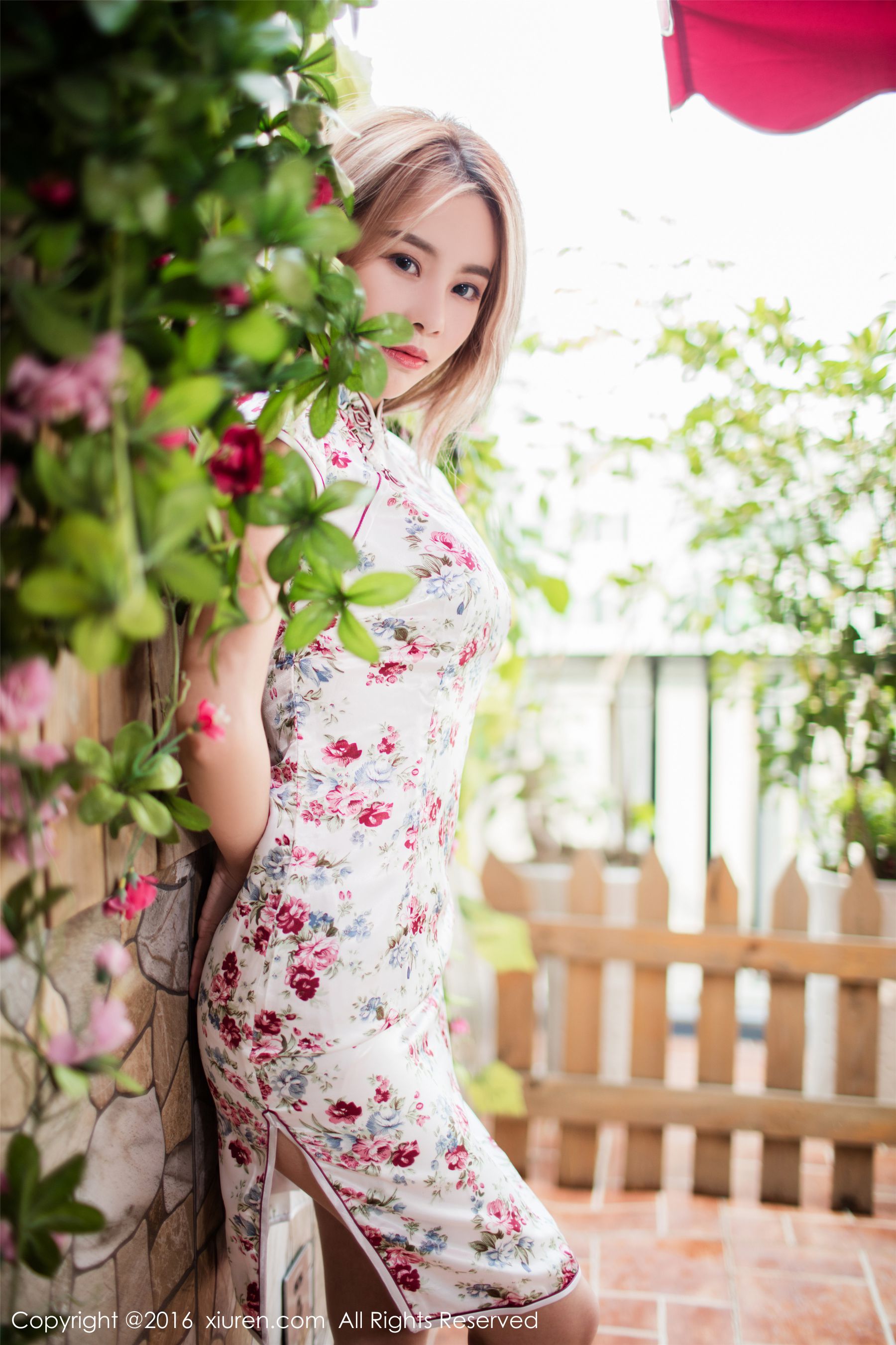 第 3 张