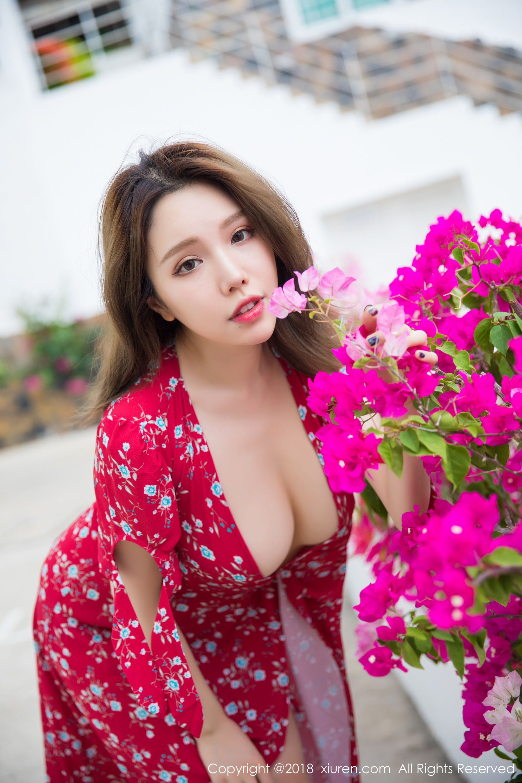 第 2 张